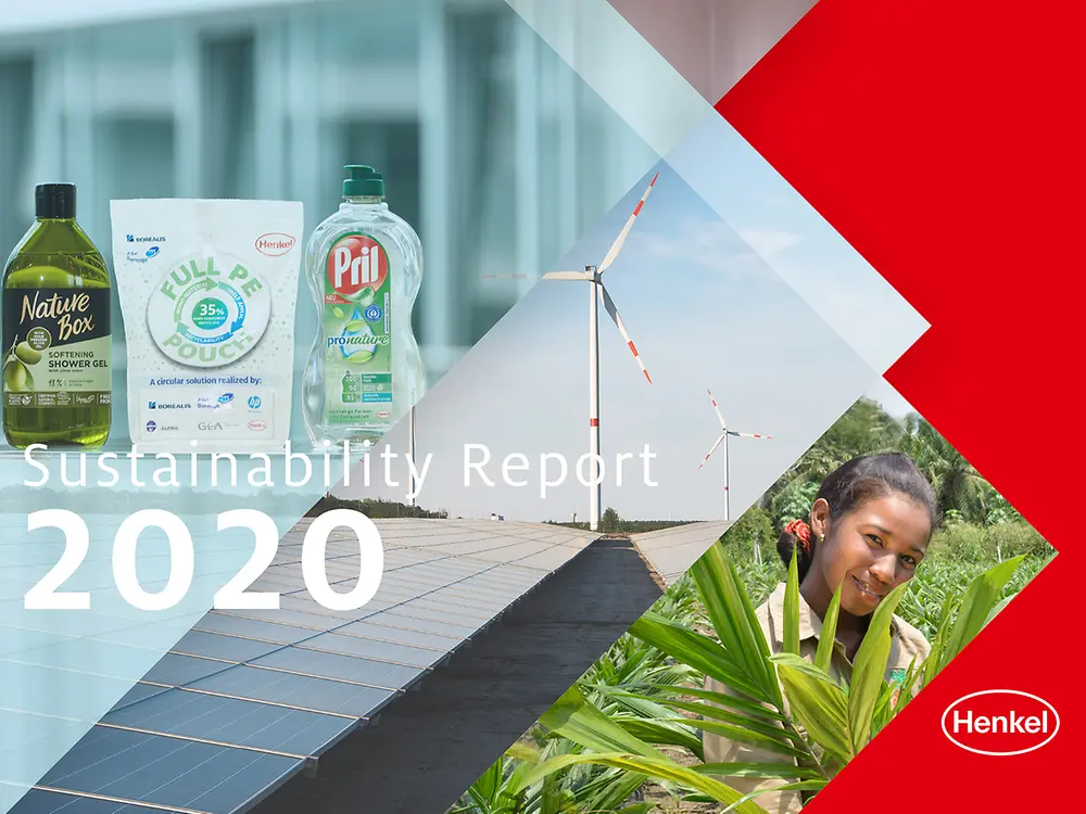 Informe de Sostenibilidad 2020 (Capa)