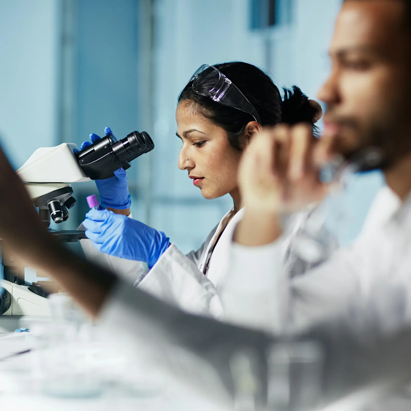 Áreas de Investigación de Consumer Brands.