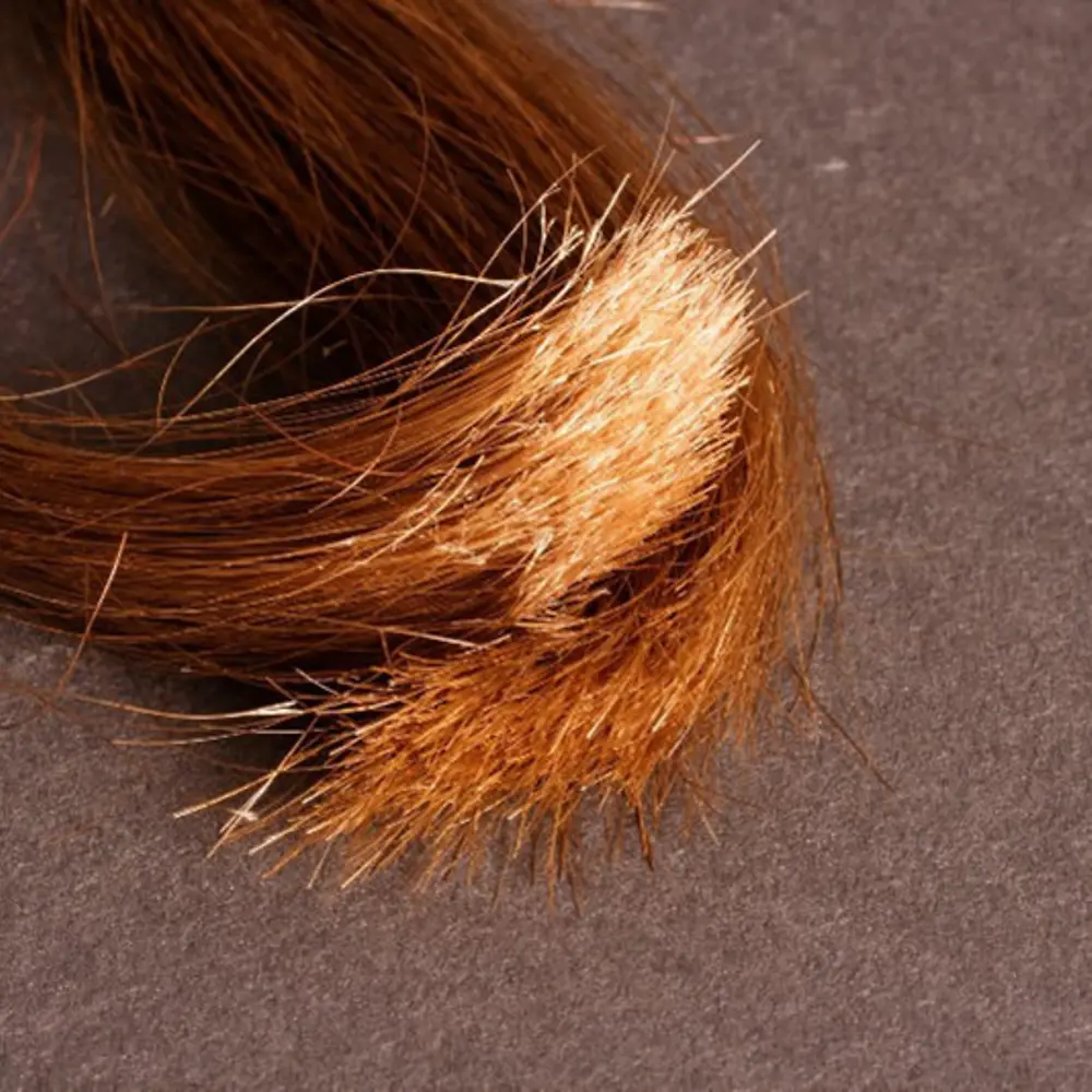 
Hebras de cabello preparadas para peinar Force
